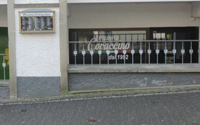 Covaccino.jpg