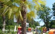 Biberbad Rüthen Palmenstrand mit Strandkörben Foto Stadt Rüthen Hötte.JPG