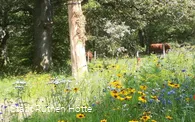 Zeidlerei im Bibertal