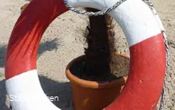Rettungsring an der Strandlandschaft