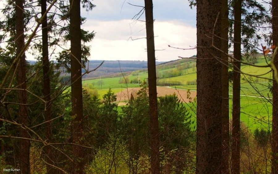 Blick hinunter zu den Fischteichen