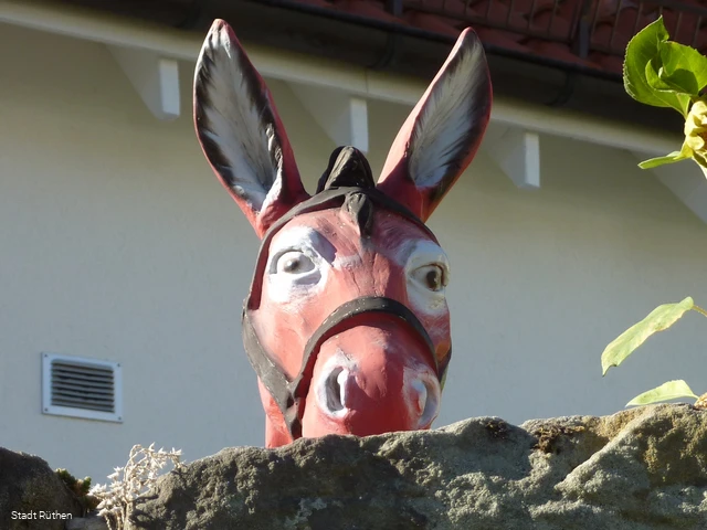 Esel in Rüthen