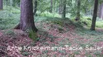 Landwehr entlang der Themenroute
