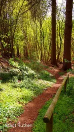 Wegeführung im Frühjahr