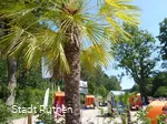 Biberbad Rüthen Palmenstrand mit Strandkörben Foto Stadt Rüthen Hötte.JPG